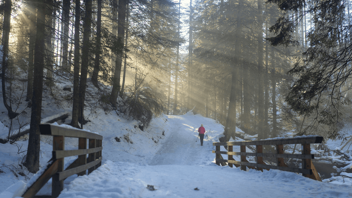 femme-foret-soleil-randonnée-hiver