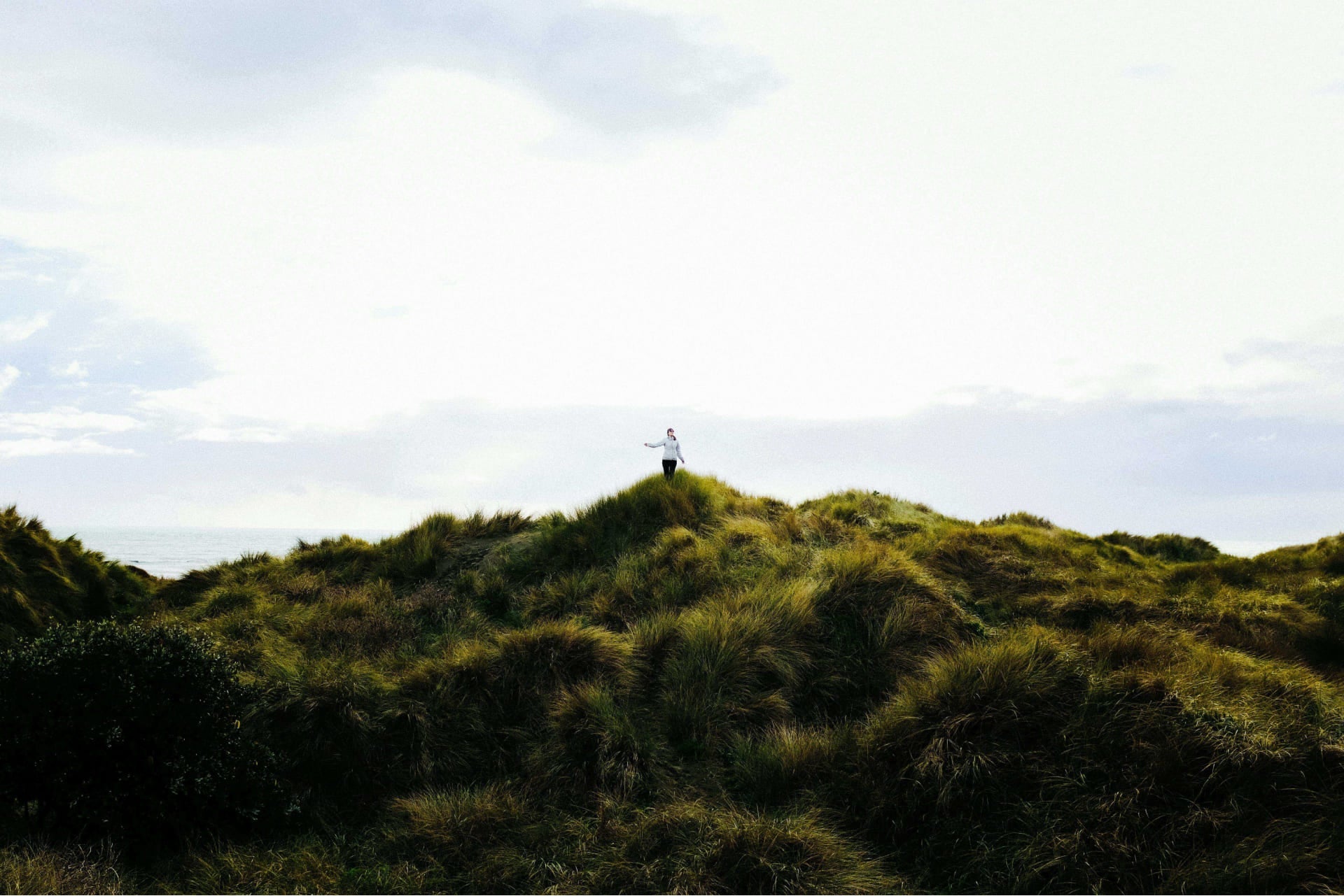 paysage gazonné