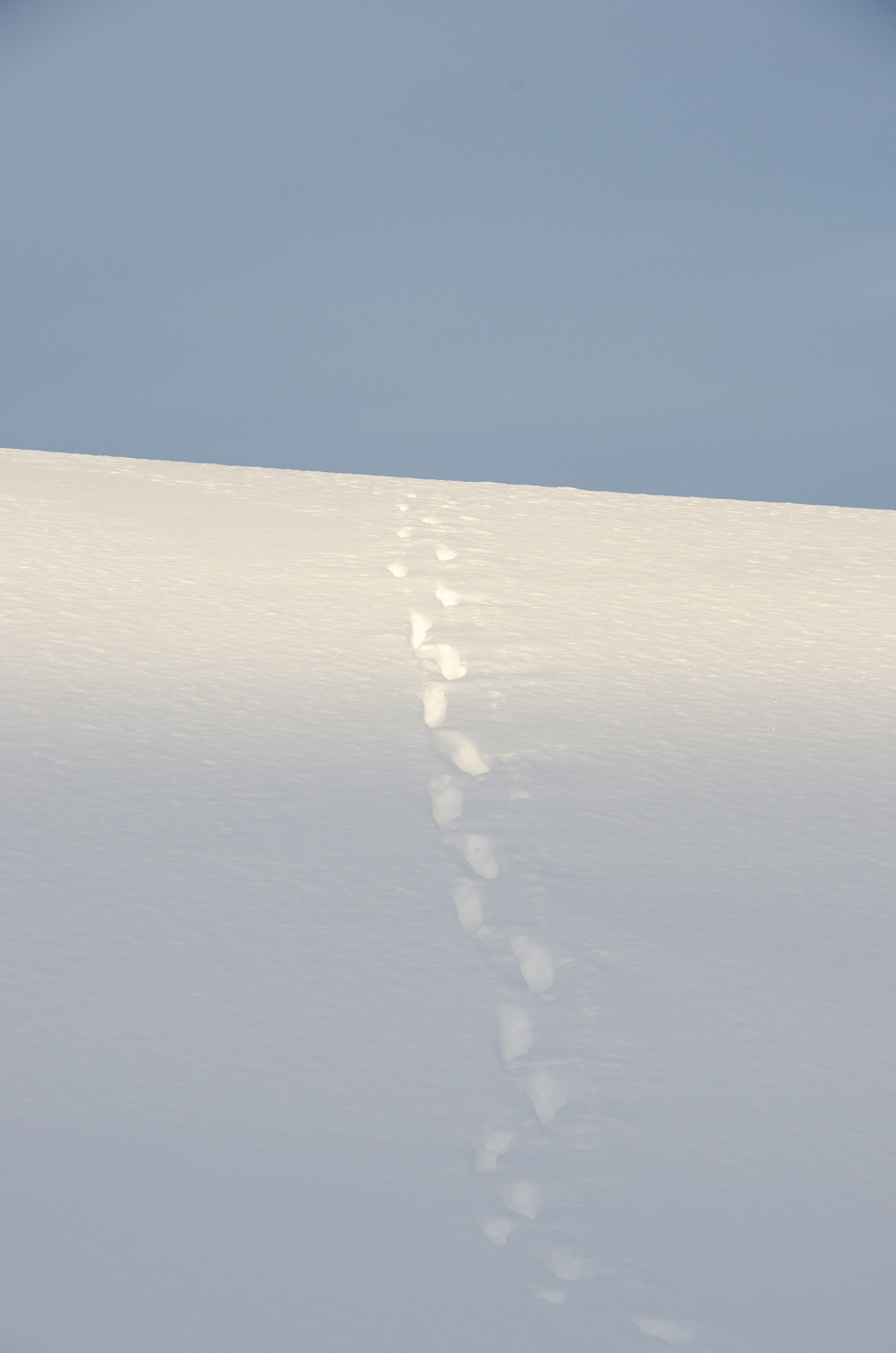 activité-neige-hiver