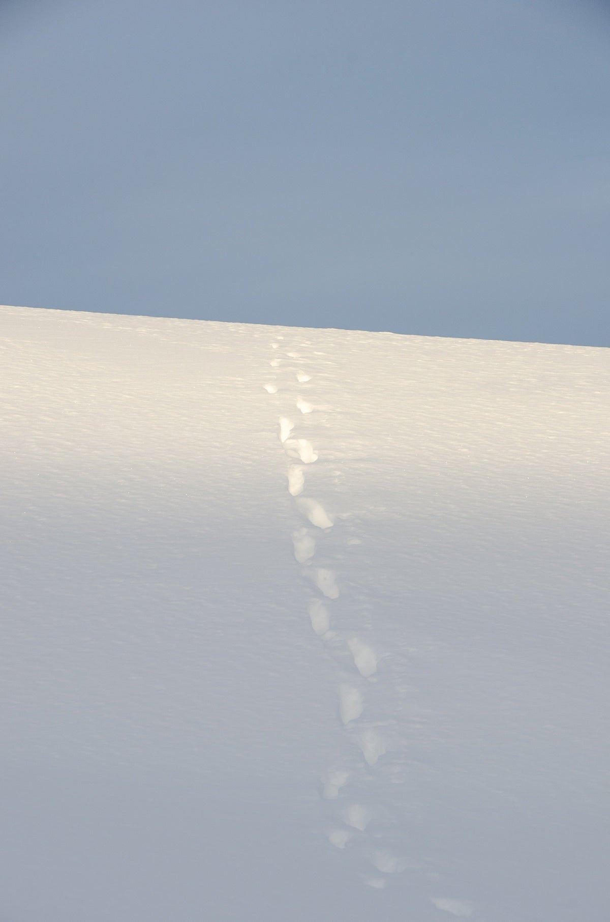 activité-neige-hiver