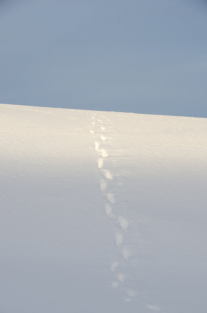 activité-neige-hiver