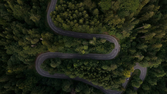 Tracer son propre chemin : le parcours de Catherine