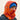 Capuche Bestiole & Créature