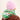 capuche nopé pour adulte de couleur minecraft